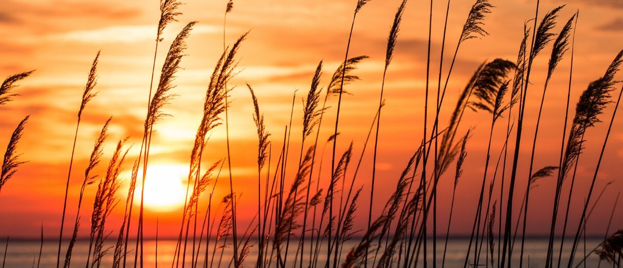 Sunrise Longboat Key Sarasota